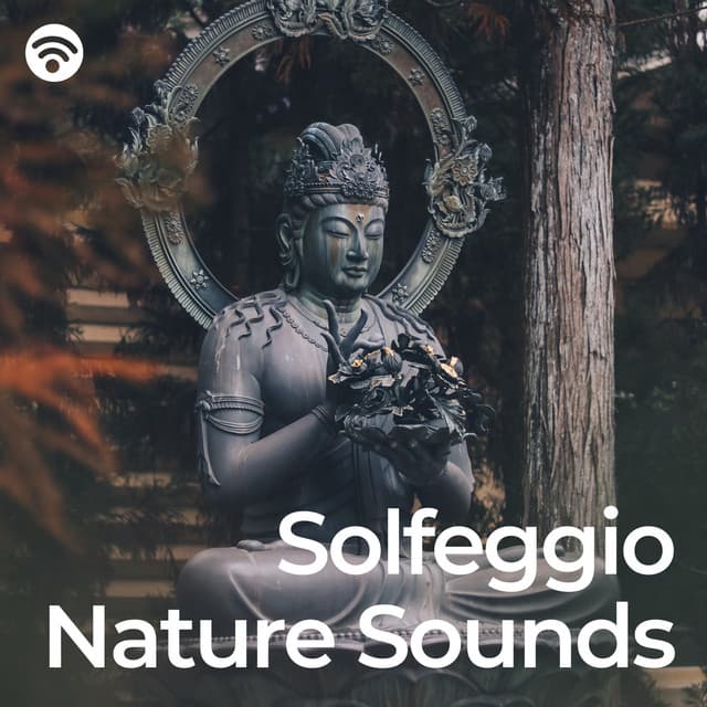 Solfeggio Nature Sounds: Harmonic Solfeggio Journey Through Green - Reiki Ensemble