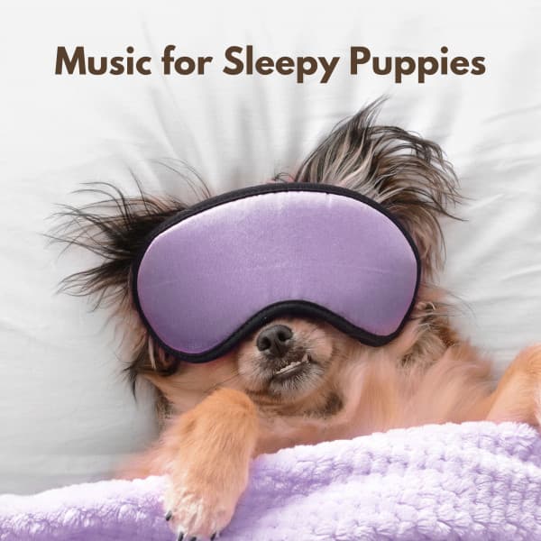 Music for Sleepy Puppies - P.J.B