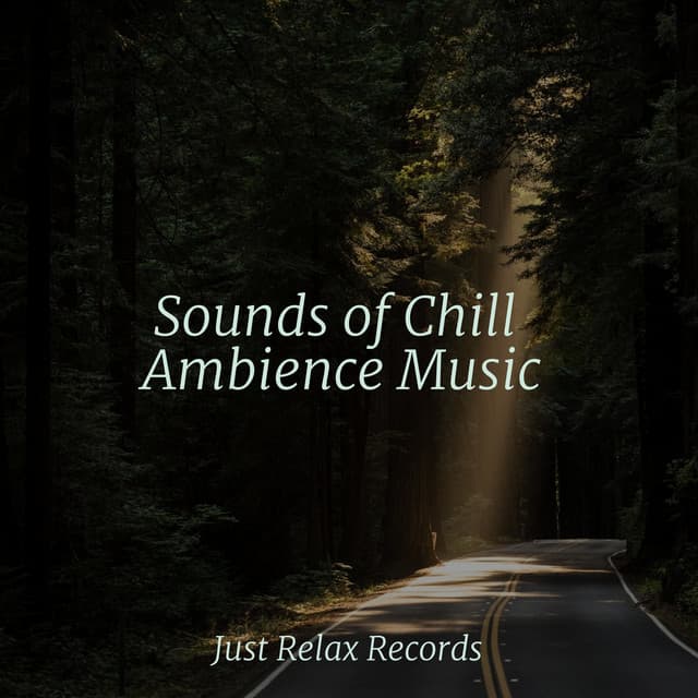 Sounds of Chill Ambience Music - Pro Sound Effects Library