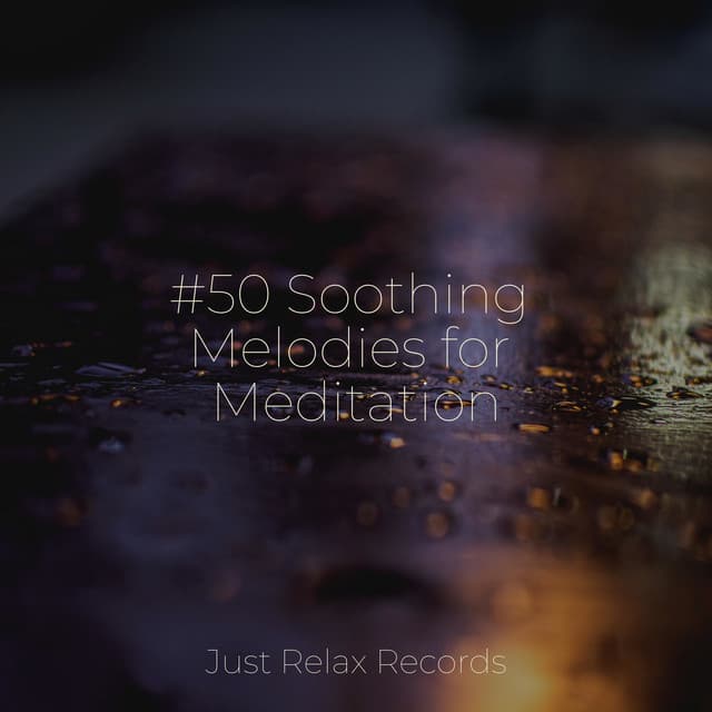 #50 Soothing Melodies for Meditation - Relaxing Spa Music