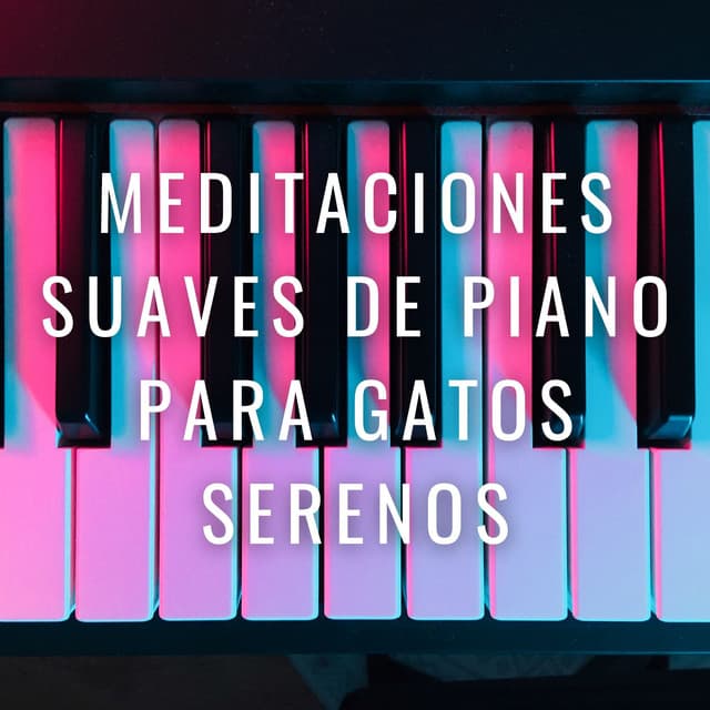 Ronroneos Pacíficos: Meditaciones Suaves De Piano Para Gatos Serenos - Paz del piano