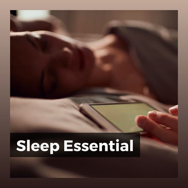Sleep Essential - Music for Sleep