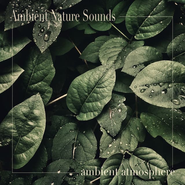 Ambient Atmosphere - Ambient Nature Sounds