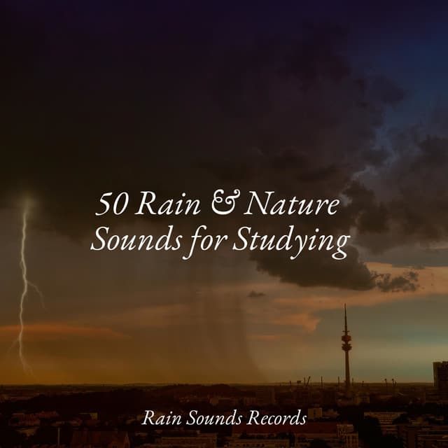 50 Rain & Nature Sounds for Studying - Natureza