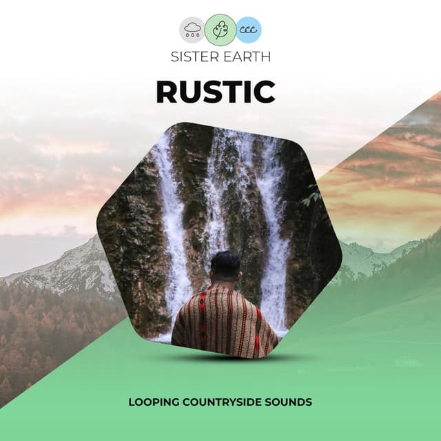 Looping Rustic Countryside Sounds - Rainforest Sounds