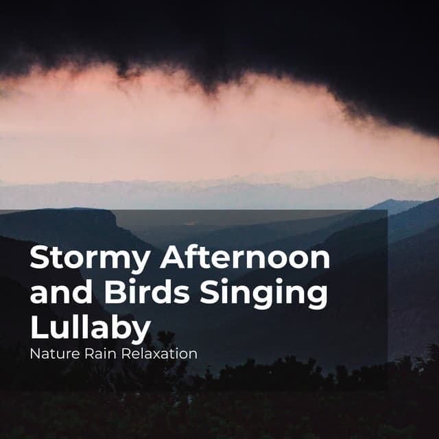 Stormy Afternoon and Birds Singing Lullaby - Nature Rain Relaxation
