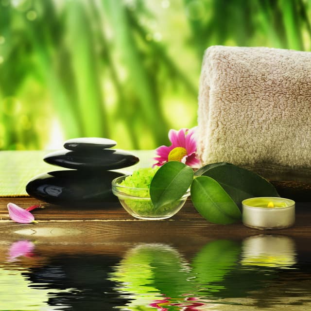Water's Spa Serenade in Binaural Tones - Water Sounds For Spa