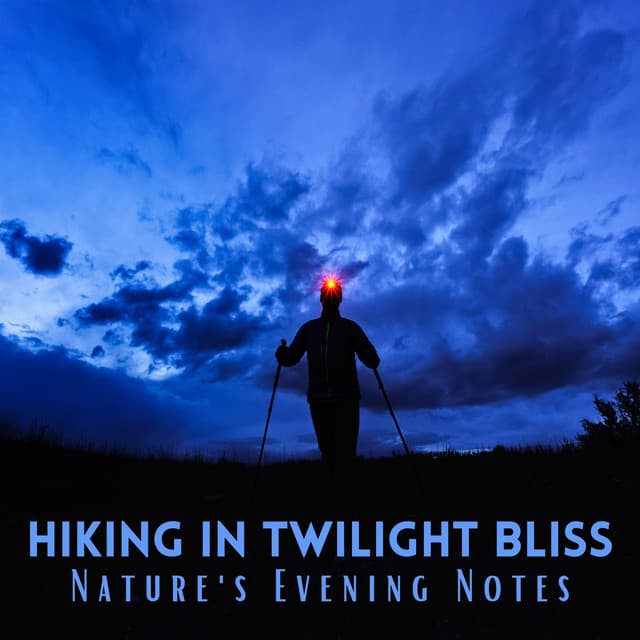 Hiking in Twilight Bliss: Nature's Evening Notes - Ambient Nature Sounds