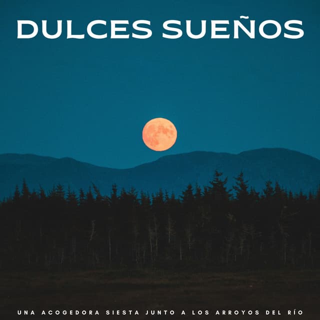 Dulces Sueños: Una Acogedora Siesta Junto A Los Arroyos Del Río - Siestas diurnas
