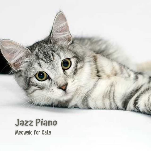 Jazz Piano: Meowsic for Cats - Moonlight Sonata