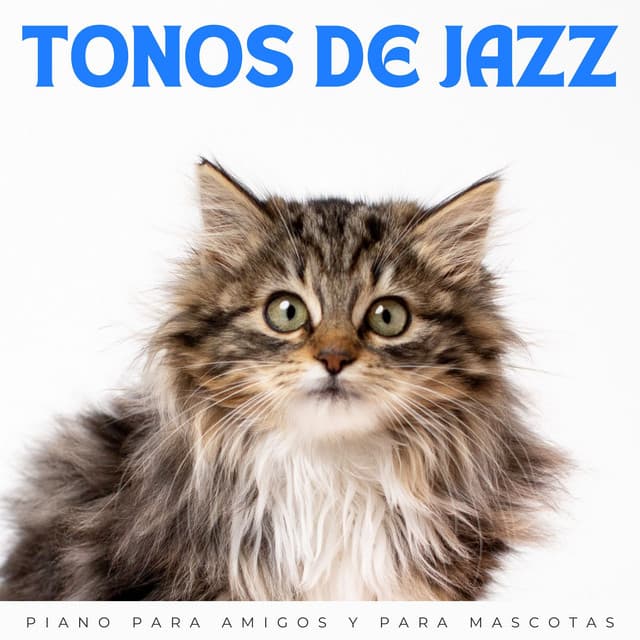 Tonos De Jazz: Piano Para Amigos Y Para Mascotas - Ambiente relajante de jazz instrumental