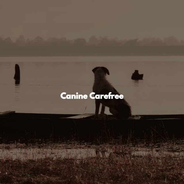 Canine Carefree - Coffee Shop Music