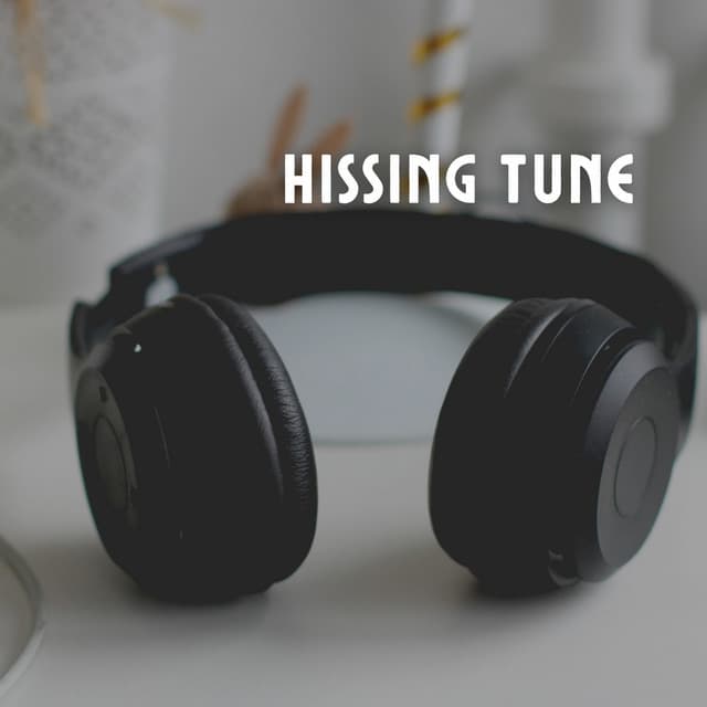 Hissing Tune - The Background Noise Company