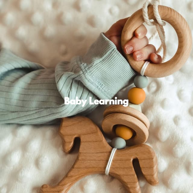 Baby Learning - Baby Slaapmuziek Luxe