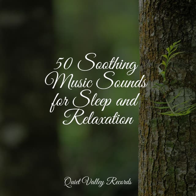 50 Soothing Music Sounds for Sleep and Relaxation - Baby Sleep Music