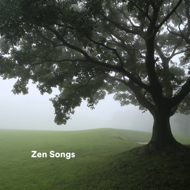 Zen Songs - Chakra Kundalini
