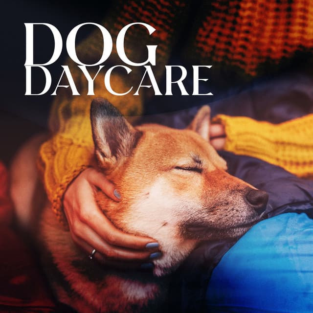 Dog Daycare - Alexander Swen