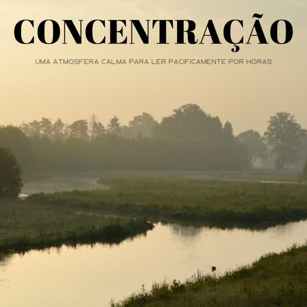 Concentração: Uma Atmosfera Calma Para Ler Pacificamente Por Horas - #Relajante