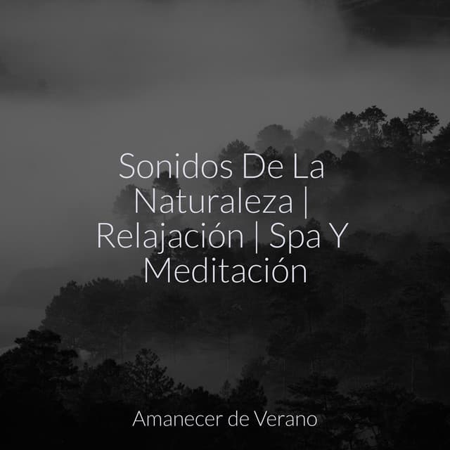 Sonidos De La Naturaleza | Relajación | Spa Y Meditación - Musica Para Dormir y Sonidos de la Naturaleza