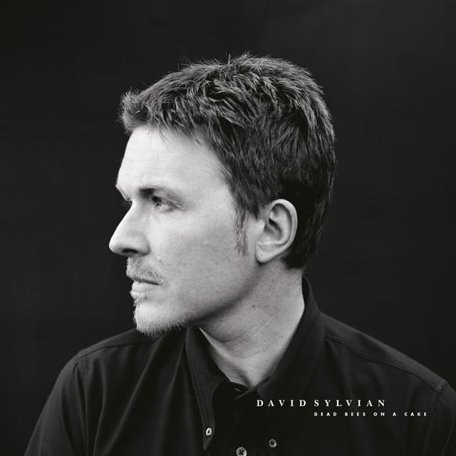 Dead Bees On A Cake - David Sylvian