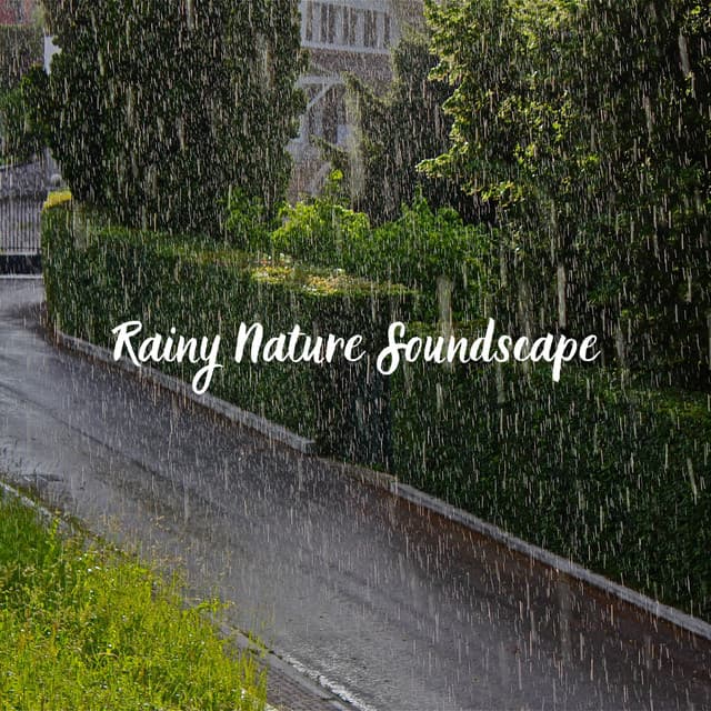 Rainy Nature Soundscape - Rain Recordings