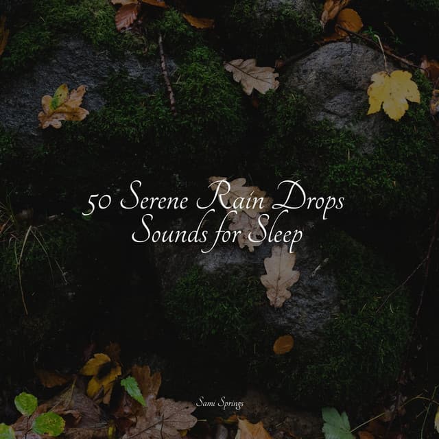 50 Serene Rain Drops Sounds for Sleep - Naturaleza Sonidos