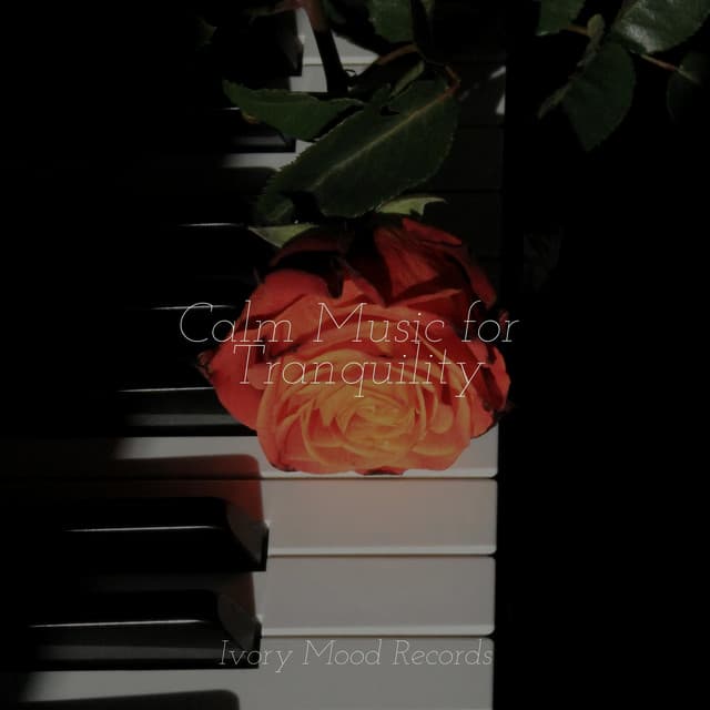 Calm Music for Tranquility - Musica Romantica