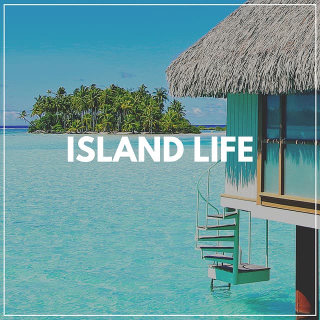 Island Life - Recording Nature
