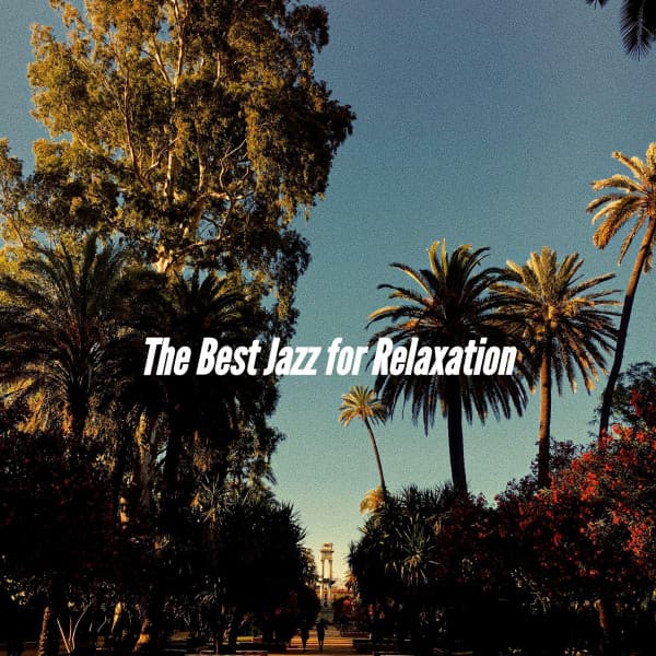 The Best Jazz for Relaxation - Modern Dinner Music