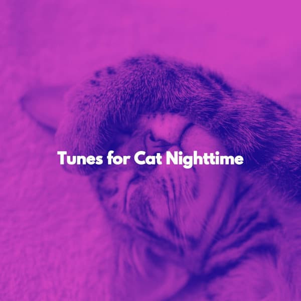 Tunes for Cat Nighttime - Vintage Cafe Ambiance