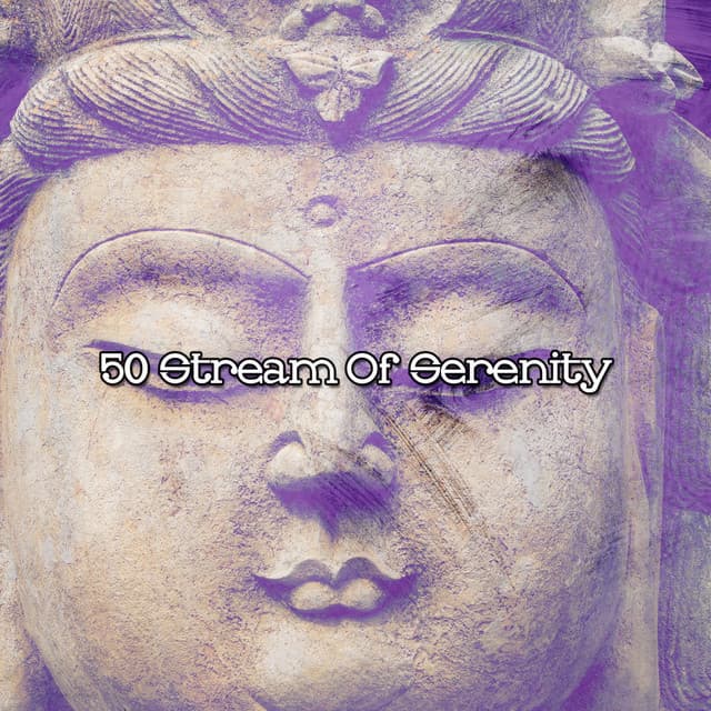 50 Stream Of Serenity - Relaxing Meditation Songs Divine