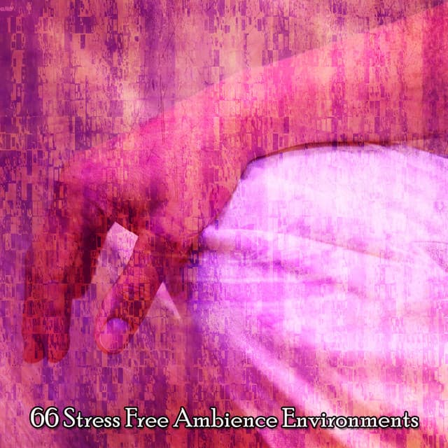 66 Stress Free Ambience Environments - Relaxation Study Music