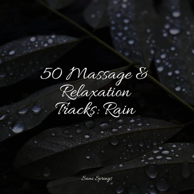 50 Massage & Relaxation Tracks: Rain - Calm Down
