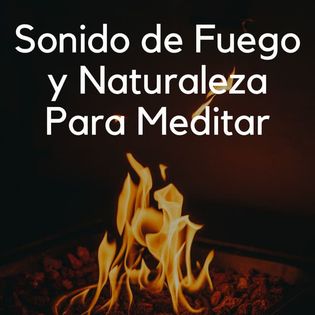 Sonido De Fuego Y Naturaleza Para Meditar - Estudio de efectos de chimenea
