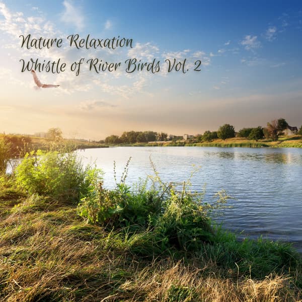 Nature Relaxation: Whistle of River Birds Vol. 2 - Music for Relaxing Cats