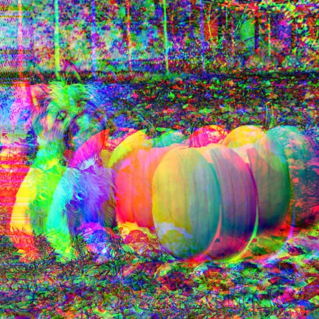 Guitar Jazz - Ambiance for Doggy Afternoon Rest - Relaxing Music for Dogs