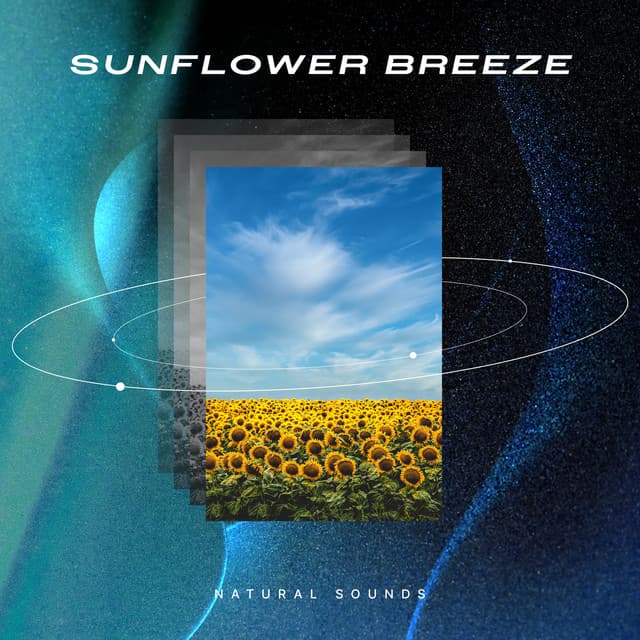 Sunflower Breeze - Natural Sounds