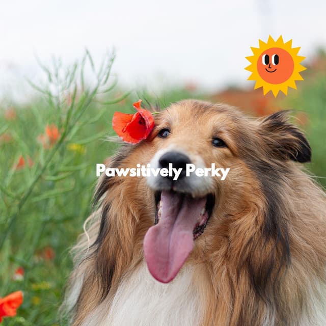 Pawsitively Perky - Calm Dog Music
