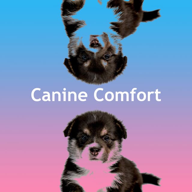Canine Comfort - Dog’s Music