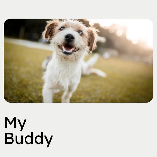 My Buddy - Dog Music