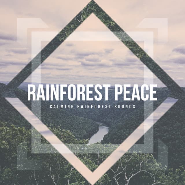 Rainforest Peace - Calming Rainforest Sounds