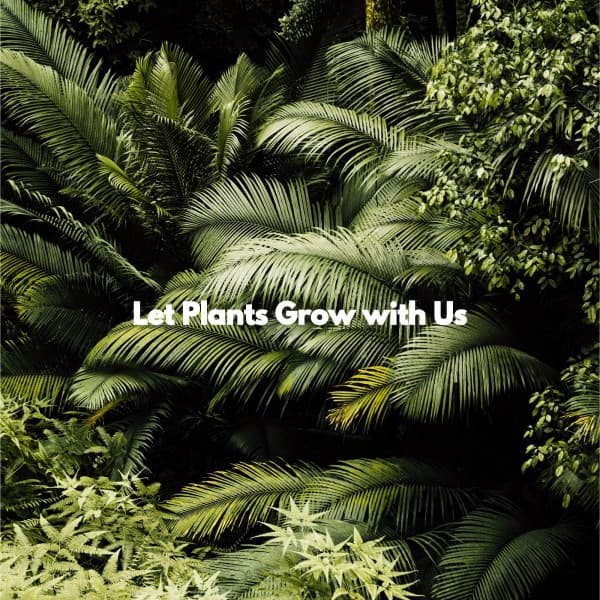 Let Plants Grow with Us - Sunday Morning Jazz