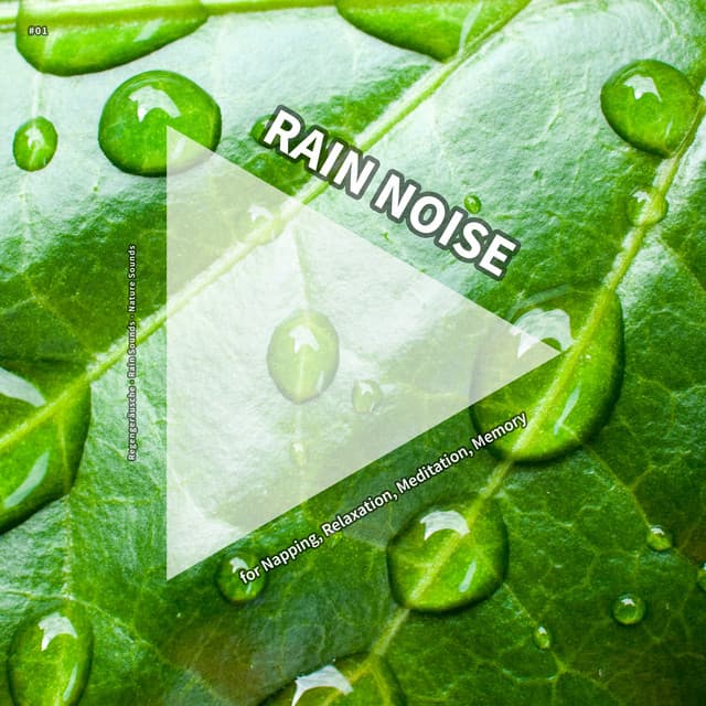 #01 Rain Noise for Napping, Relaxation, Meditation, Memory - Regengeräusche
