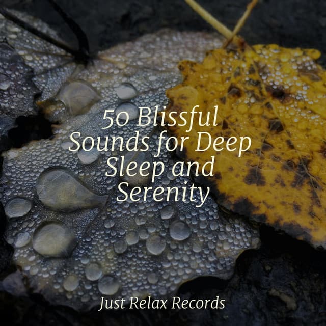 50 Blissful Sounds for Deep Sleep and Serenity - Drowsy Cloud