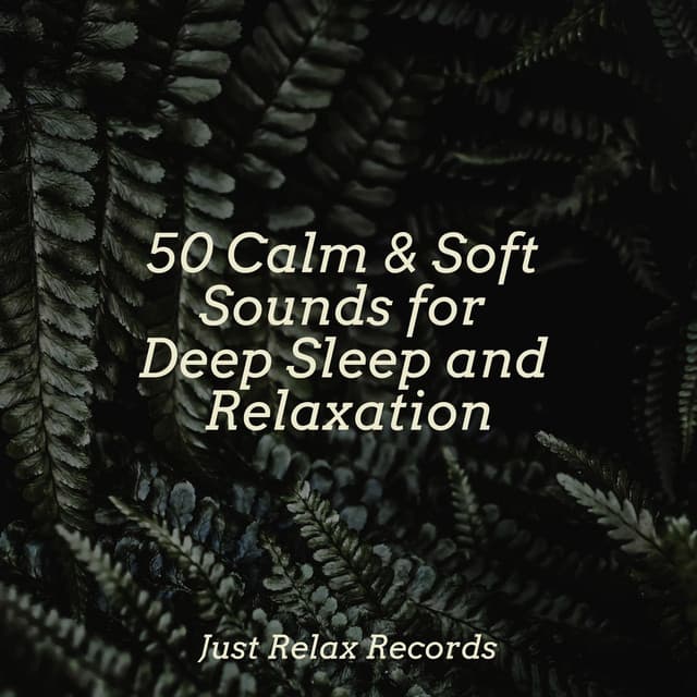 50 Calm & Soft Sounds for Deep Sleep and Relaxation - Meditation