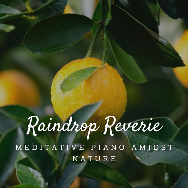 Raindrop Reverie: Meditative Piano Amidst Nature - Nature Songs Nature Music