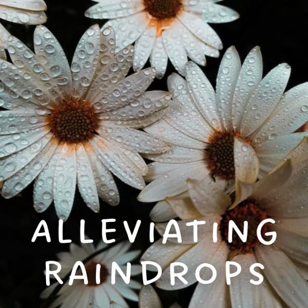 Alleviating Raindrops - Rainfall For Sleep