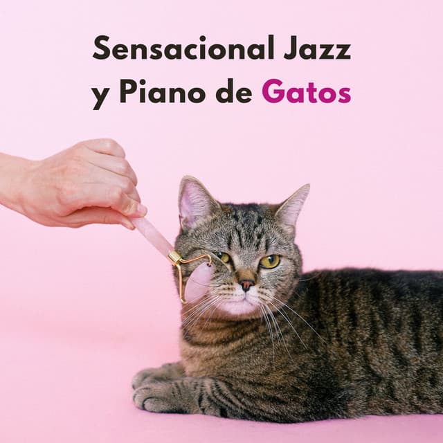 Sensacional Jazz Y Piano De Gatos - Piano para gatos