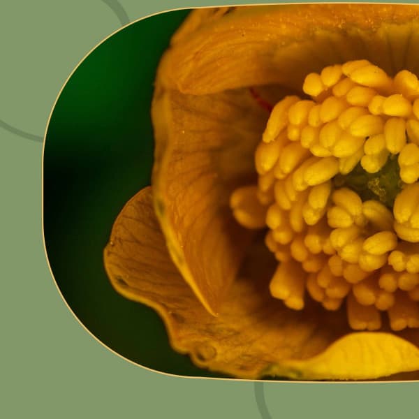 Calming Moments - Background Music - Smooth Dinner Music