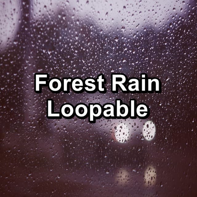 Forest Rain Loopable - Sleep Music System